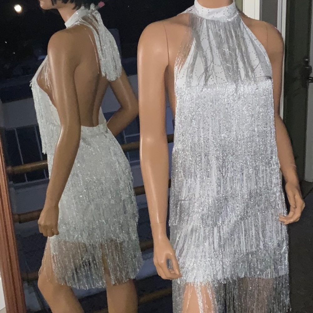 SILVER LAMĖ GREAT GATSBY PARTY DRESS BRAND NEW SIZE LARGE